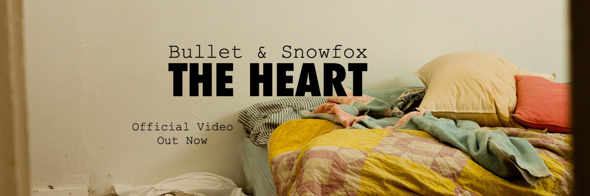 BULLETnSNOWFOX's profile banner image