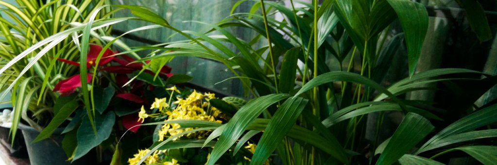 gardenonsite's profile banner image