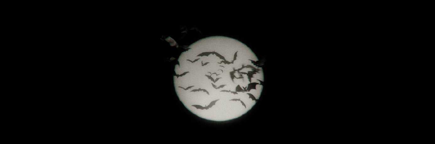 lozza6464's profile banner image