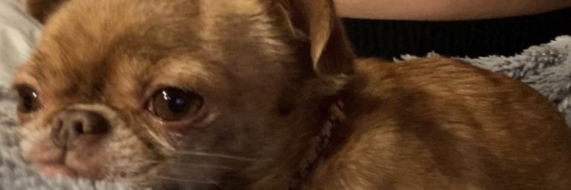 madisonlea98's profile banner image