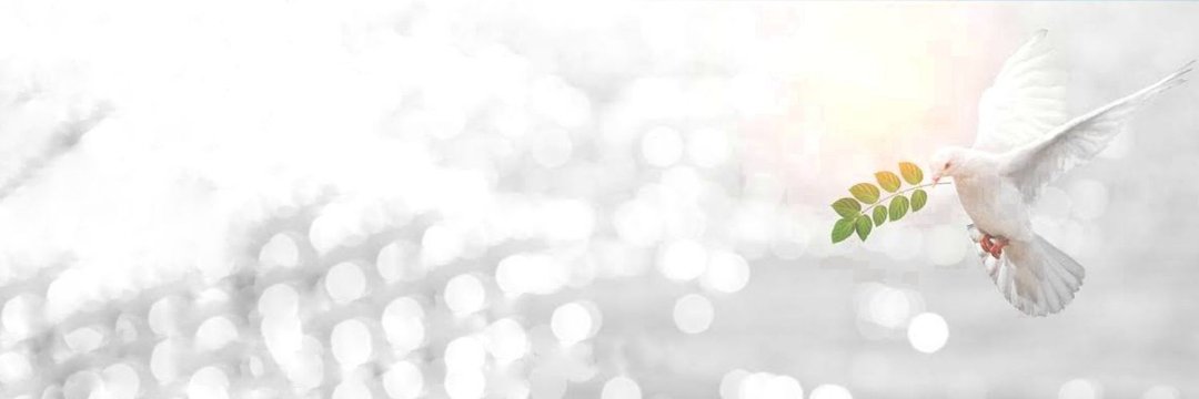 Aamrapali's profile banner image