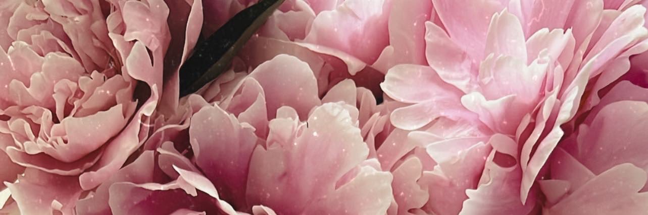 S_wombat's profile banner image