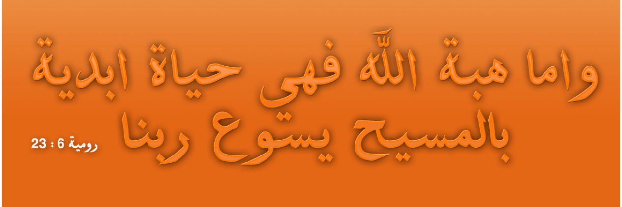 Layla Timani banner