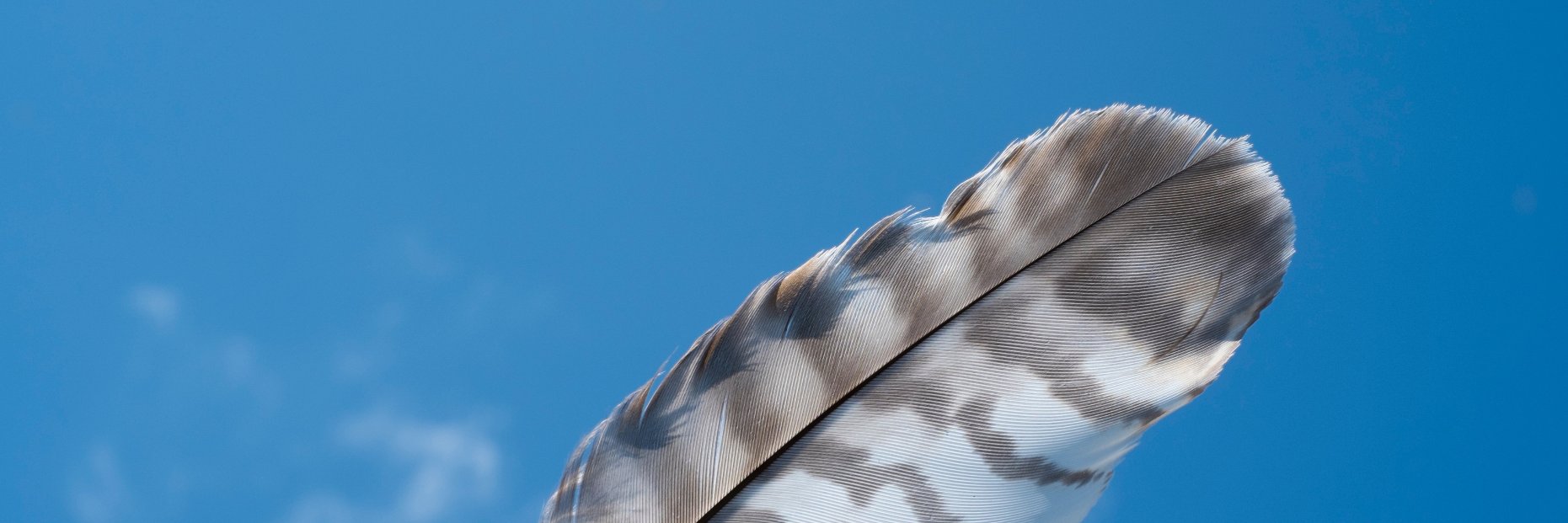 SamsonManLtd's profile banner image