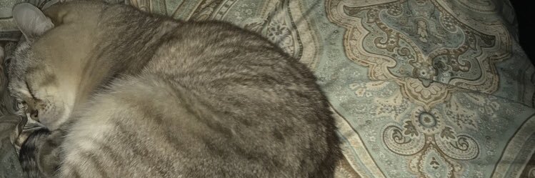 BELCAL13's profile banner image