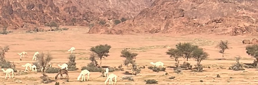 الرادار banner