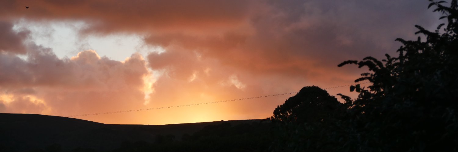 nb_Virgo's profile banner image