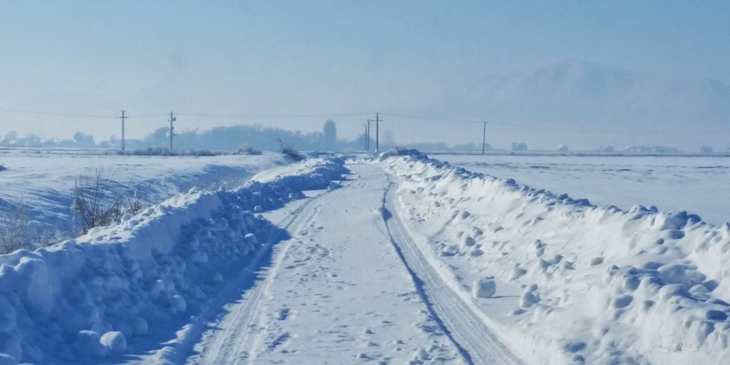 simplybrasov's profile banner image