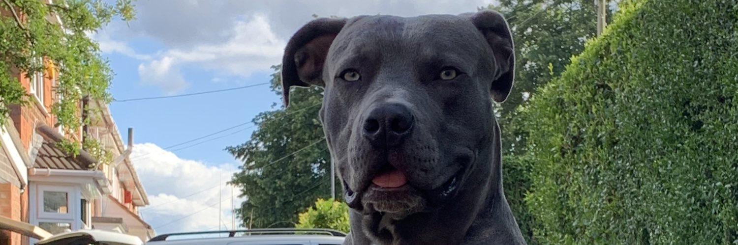 Michael 🇦🇺 banner