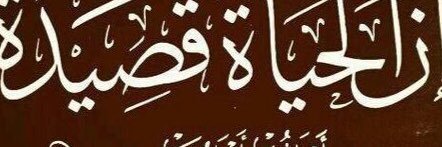 alamri8683's profile banner image