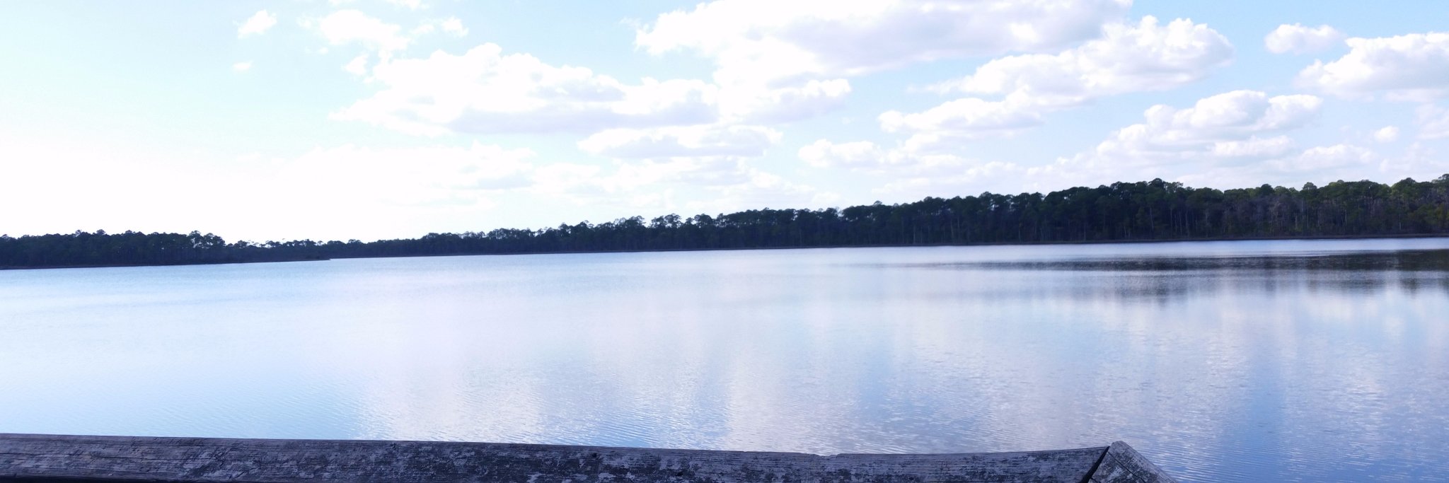 Caboosey's profile banner image