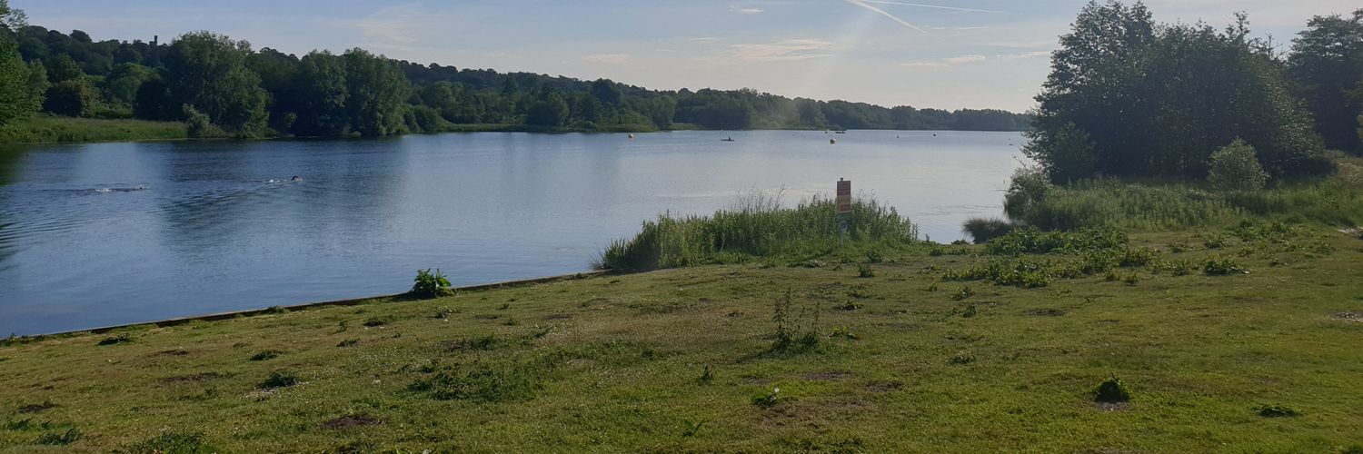 Ali Masterson 🦊 banner