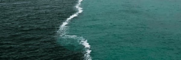 ZehraTRizvi Profile Banner