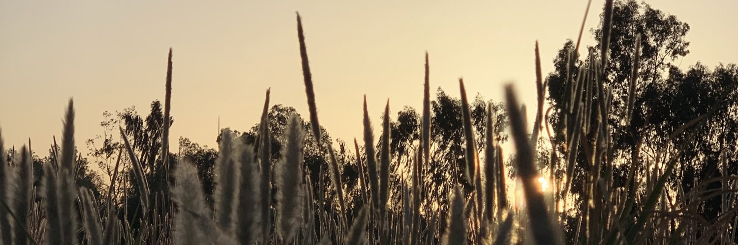 nwaier's profile banner image