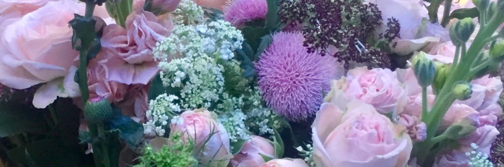 GardenValentin's profile banner image