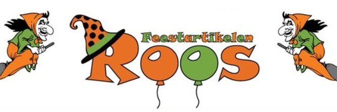 RoosFeest's profile banner image