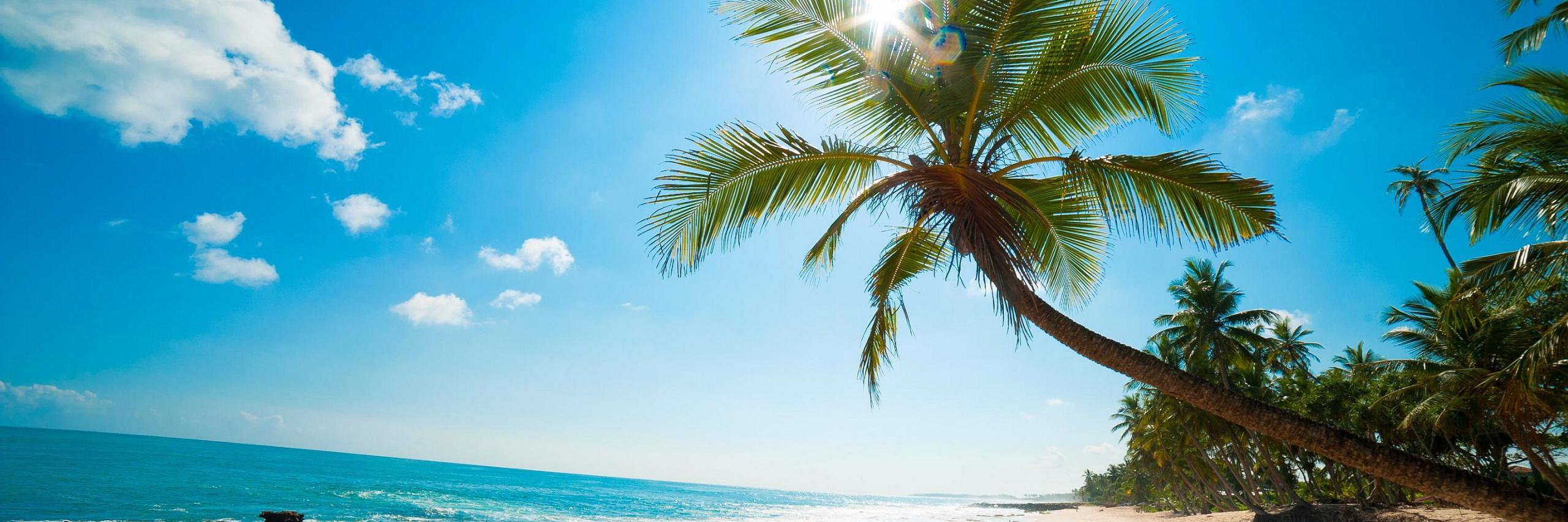 PyCaribbean banner