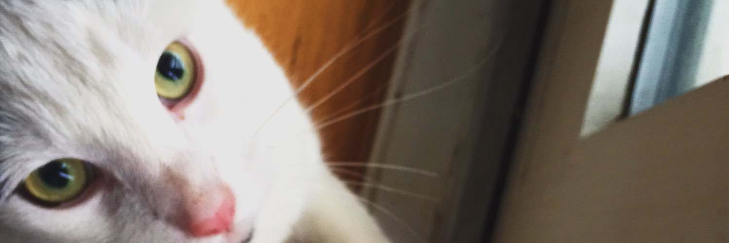 julieltran's profile banner image