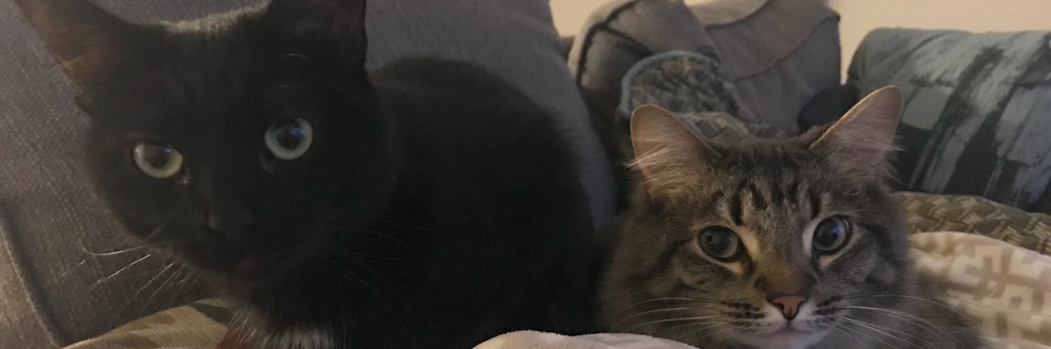 emilywick15's profile banner image