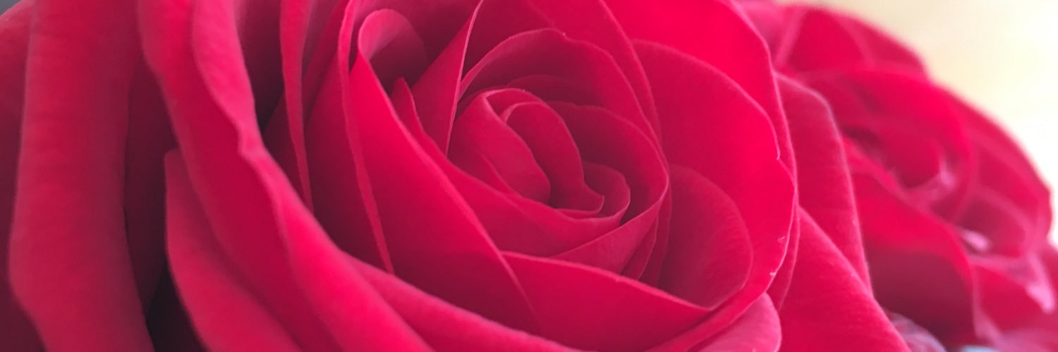 MejulieSnow's profile banner image