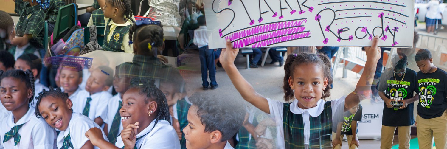 Beatrice Mayes Institute banner