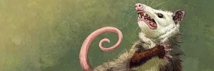 Jarrettude's profile banner image
