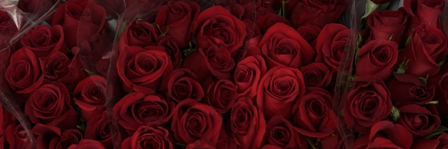 Lay. banner