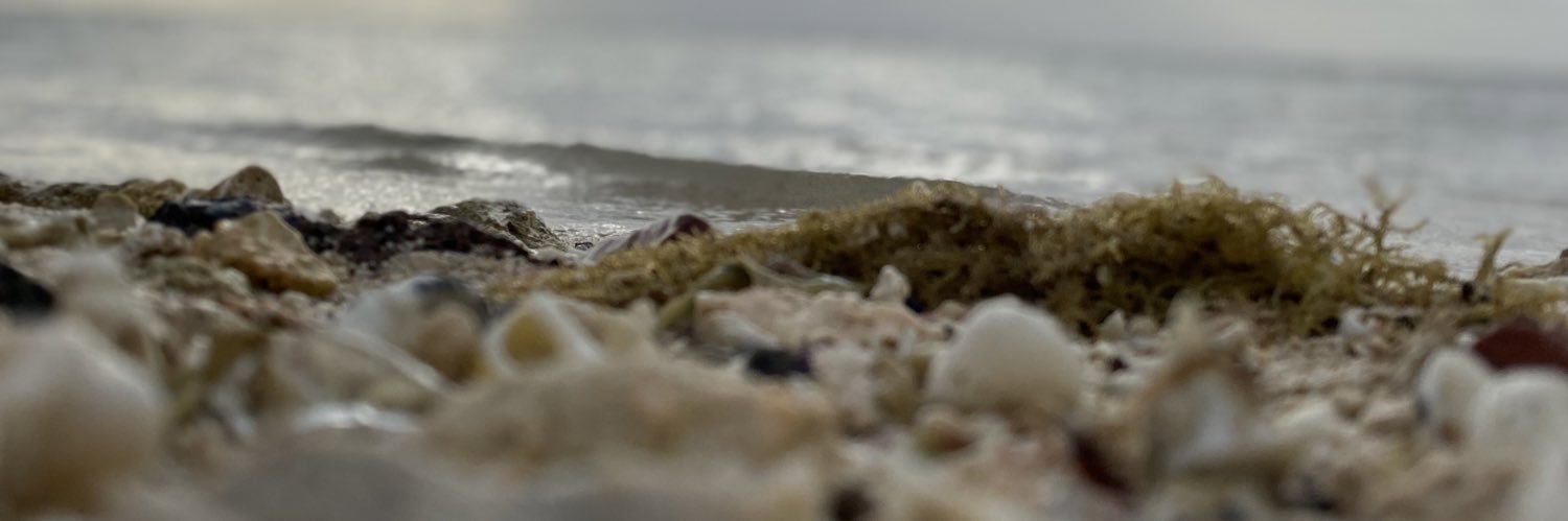 nosha903's profile banner image