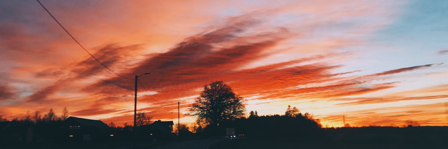 celinastamper's profile banner image