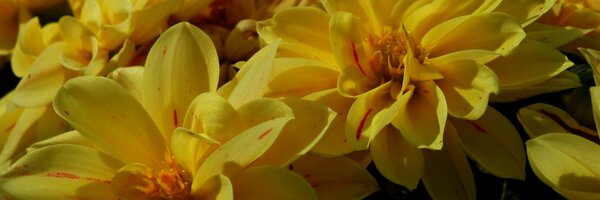 RadioLudoNOR Profile Banner