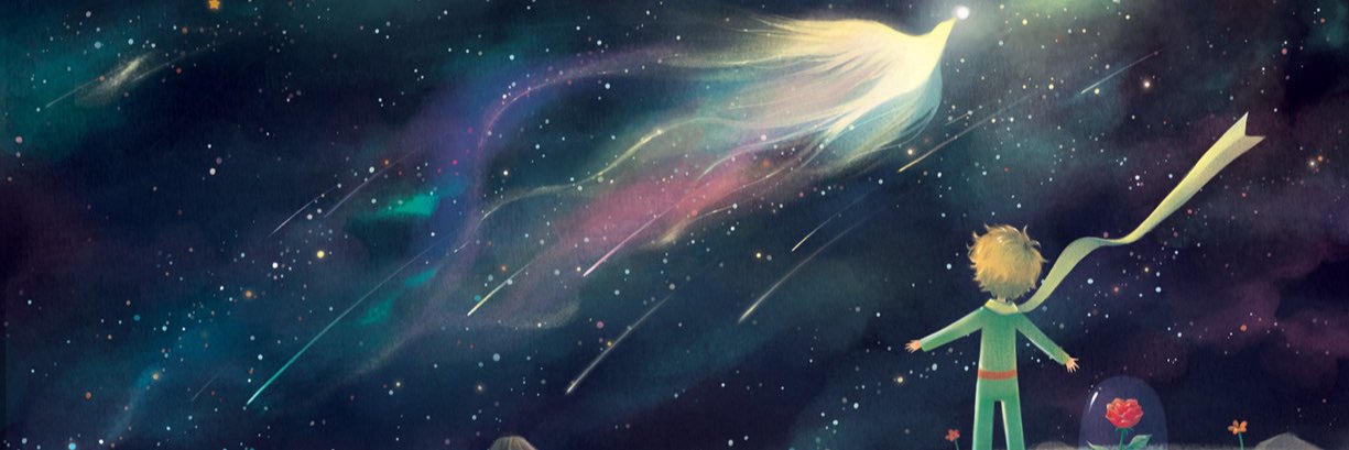 TheBookynista's profile banner image