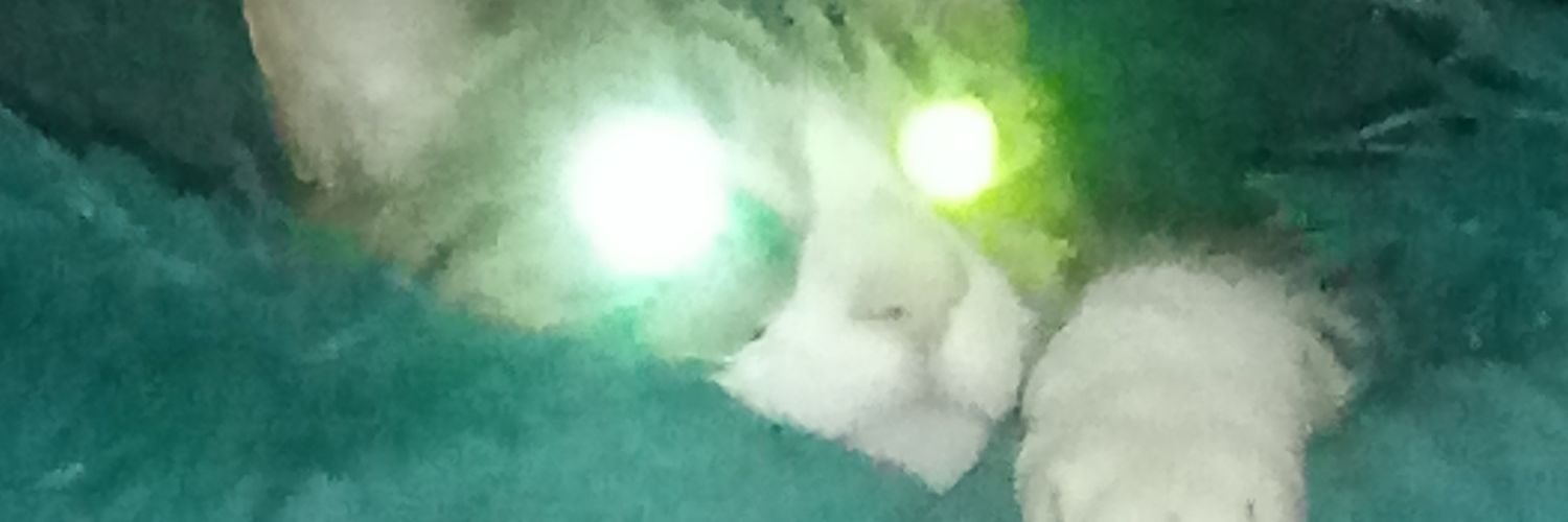 slippery_saint's profile banner image