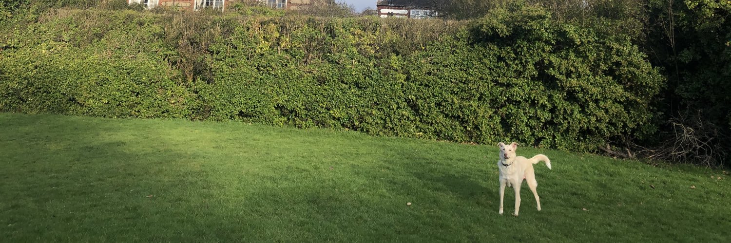 Ɛinav Sitton banner