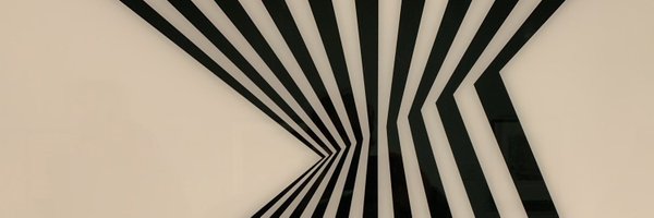 bogglerapture Profile Banner