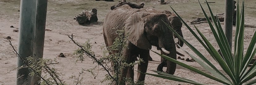 MariahSnyder97's profile banner image