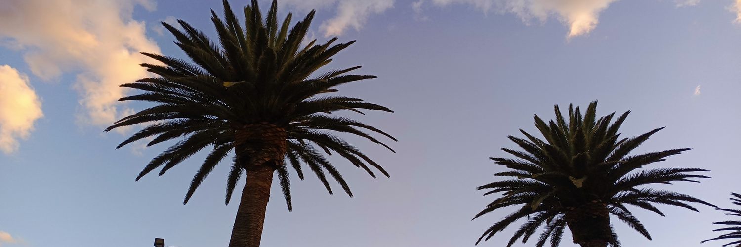 andyrobert_'s profile banner image