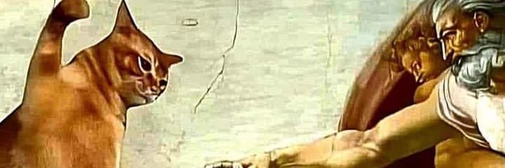BigGold79's profile banner image