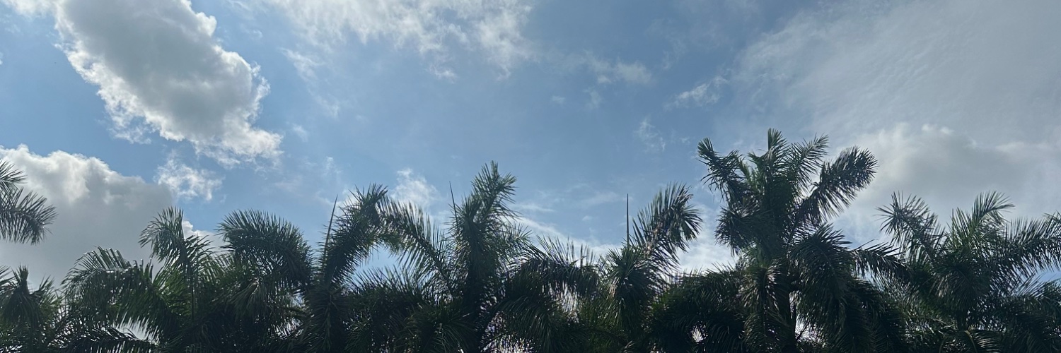 candybarrueta's profile banner image