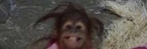 GemmaMurray99's profile banner image