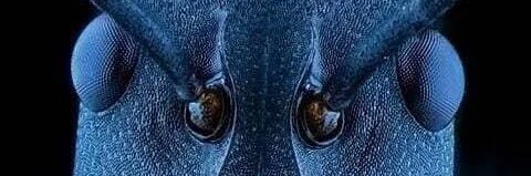 marcoscano07's profile banner image