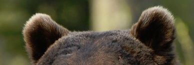 diegocv07's profile banner image