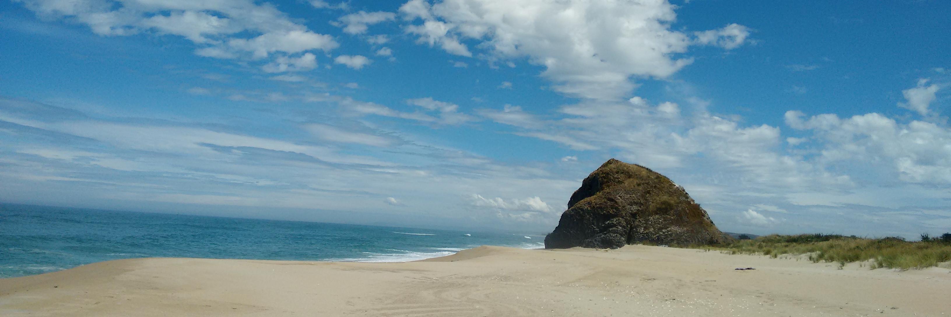 rphillips_nz's profile banner image