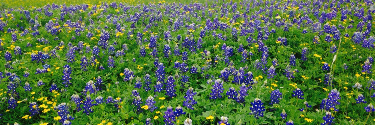 TexasLass71's profile banner image