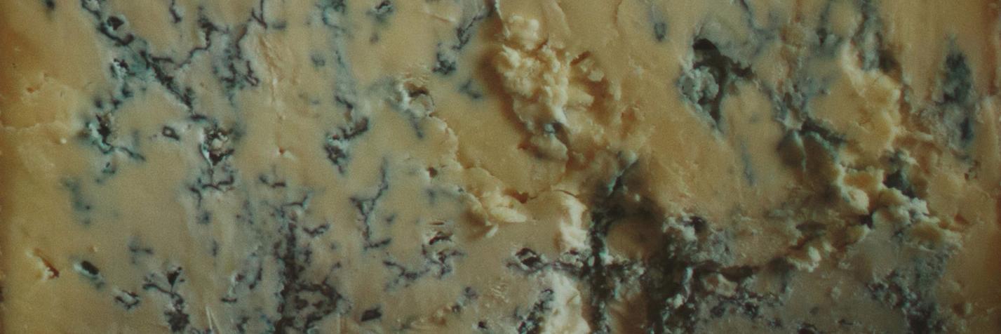 Whitestone Cheese Co banner