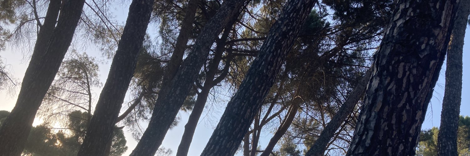 Simon Smith MD ANT banner