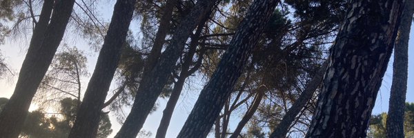 smithsimonMEN Profile Banner