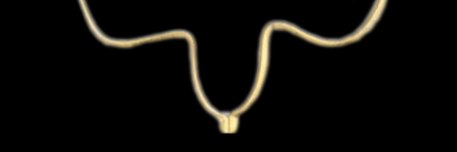 IyareSade's profile banner image
