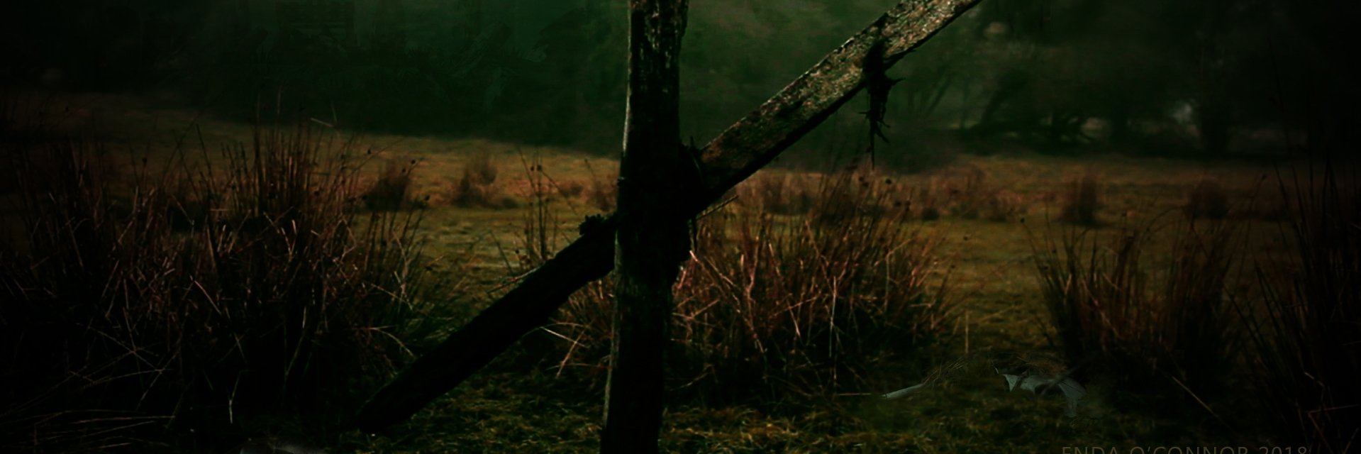 endaoconnor's profile banner image