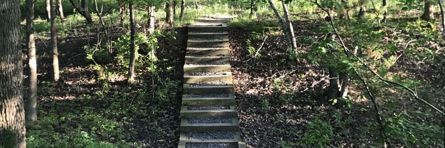 Stephanie Holcomb banner