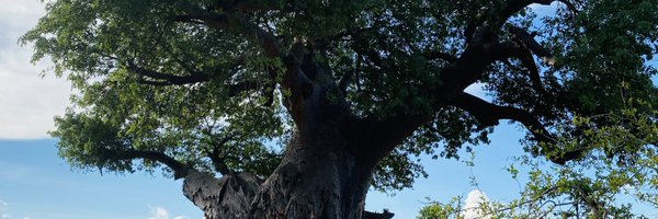 tshidi_lee Profile Banner